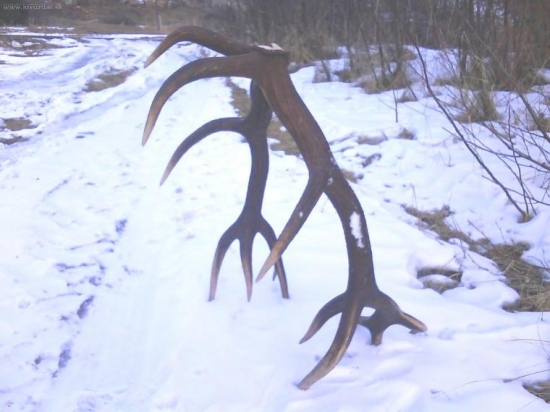 Dnes šťastný nálezca - vodič LKT