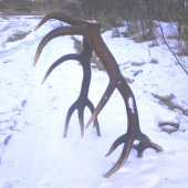 Dnes šťastný nálezca - vodič LKT