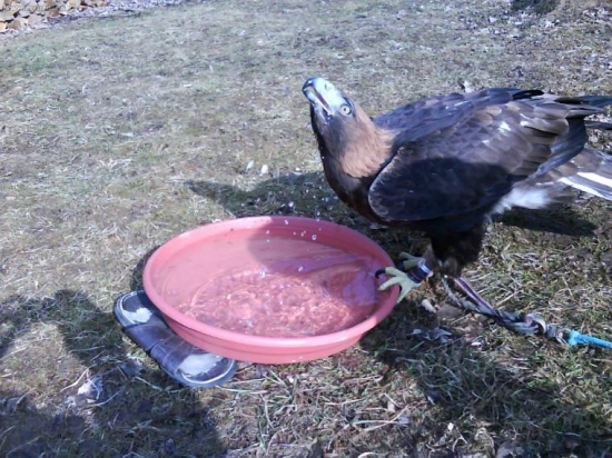 Keď po výcviku smädí