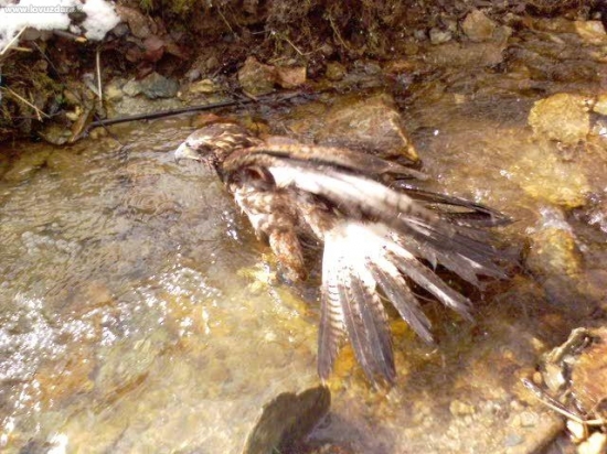 Čistota pol života - v každom čase