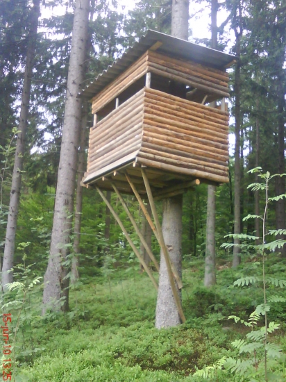 Čo unesie jeden strom ...