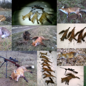 Diagnóza - líšky,vysledok - 60tka