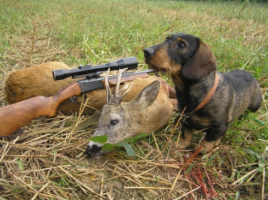 úspesná dohladávka