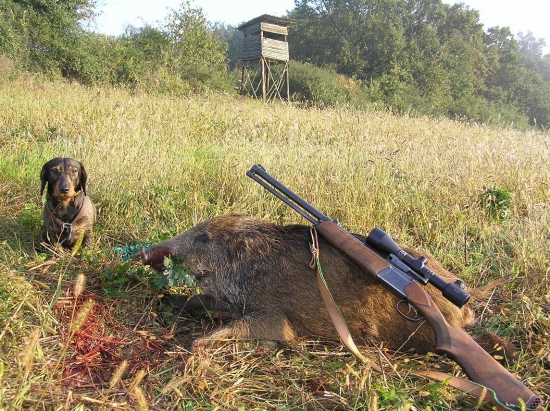 výsledok splnu mesiaca