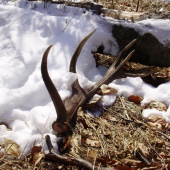 Môj prvý tohoročný