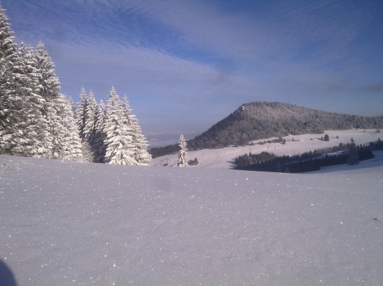 Mrazivé ráno - Ostré