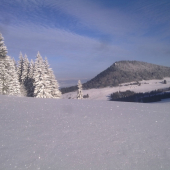 Mrazivé ráno - Ostré