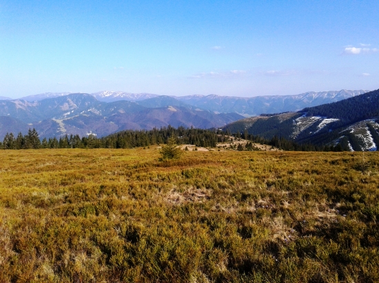 NA TERITÓRIU HOĽNIAKA