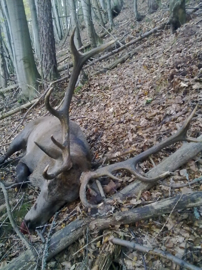 keď sa šťastie usmeje