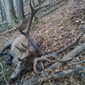 keď sa šťastie usmeje