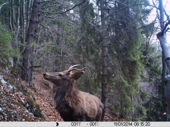Už ma odfoť, prosím!