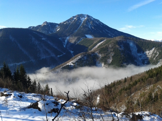 Už len pre tento pohľad sa tá poľovačka oplatila.