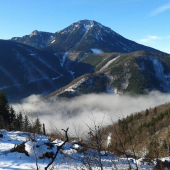 Už len pre tento pohľad sa tá poľovačka oplatila.