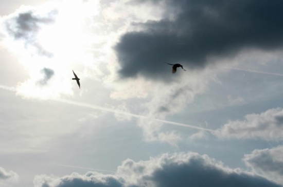 ...aj tak mi neujdeš...