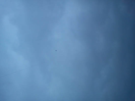 výška 250 m ...centimeter od šarkana na pravo je malá bodočka,je to sokol sťahovavý