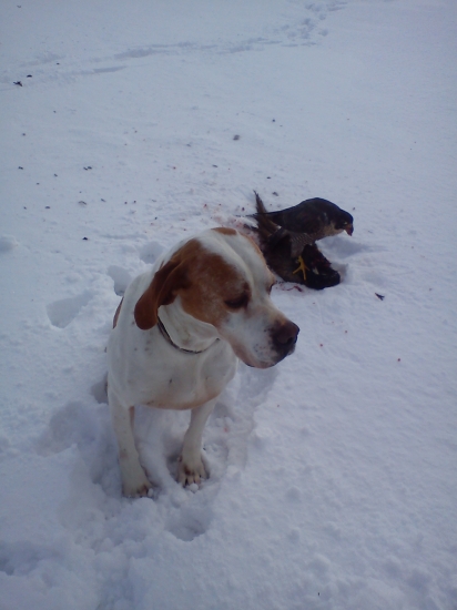 ...rýchlo jedz,je mi zima...:)))