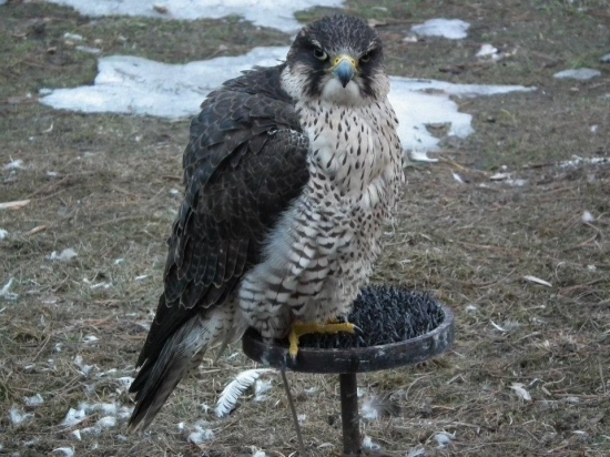 skoro po roku opäť doma...:)