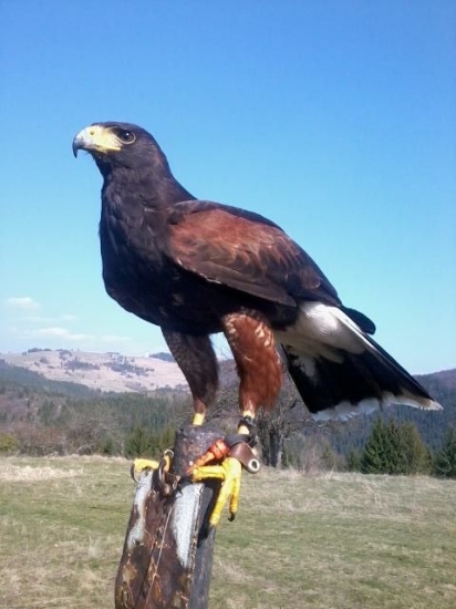 lietanie v Nízkych Tatrách....