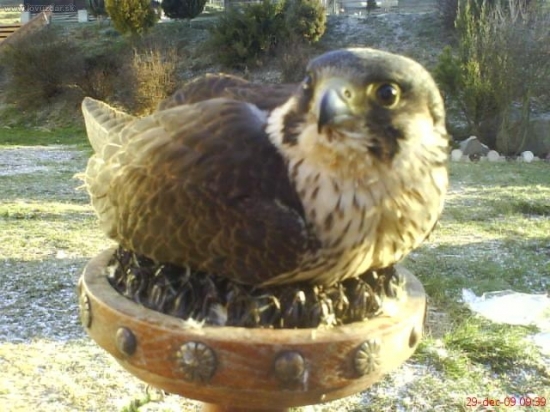 Silvester bude náročný,tak oddychujem:-)