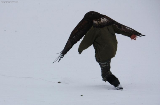 tak kto chytí tú líšku....