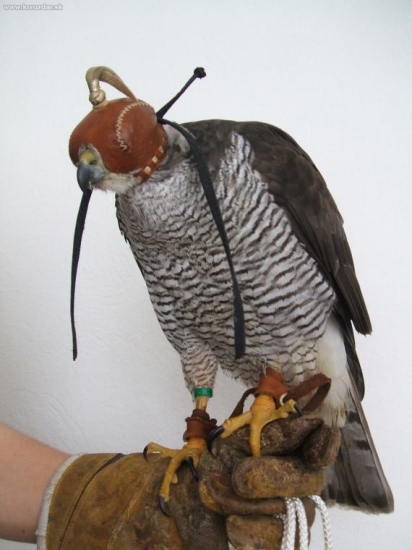 Niečo pre Praktika:o))