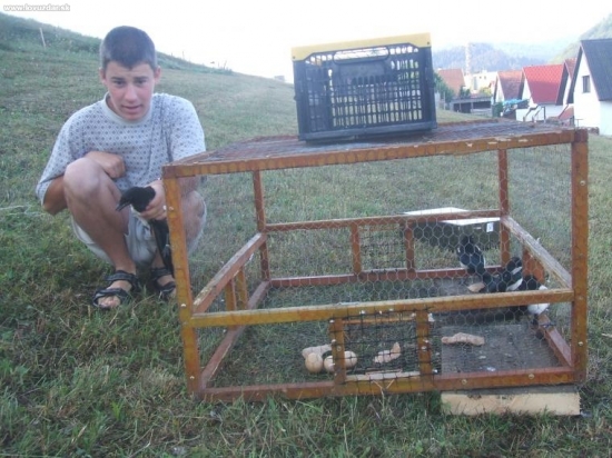 cvičáky pre sťahováka...