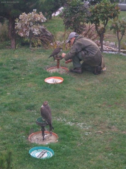 U nás na dvore:o)))