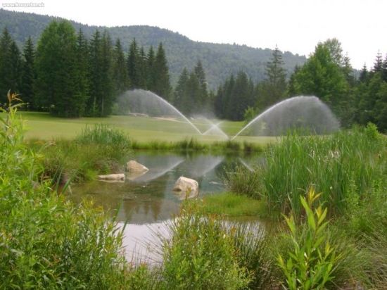 Gray Bear golfové ihrisko Tále.
