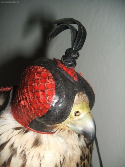 Túto mám pracovnú...