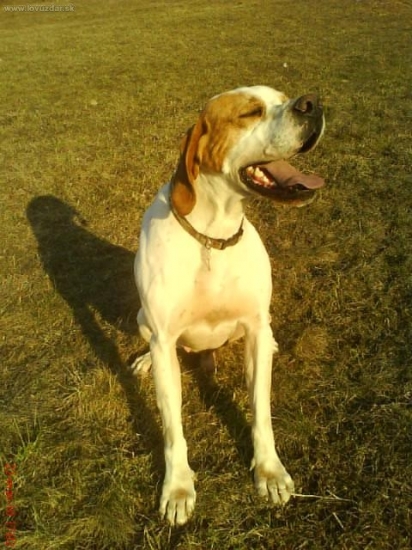 Radosť zo slniečka...:o)))