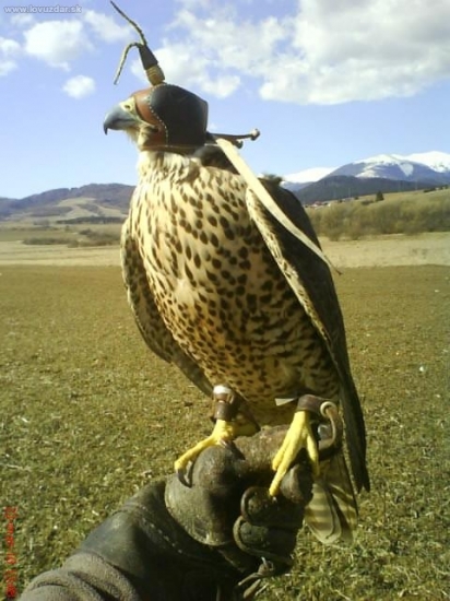 Praktik,už je to lepšie...???:o)))