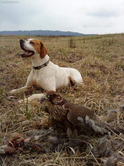 Nakŕmiť a ideme domov...