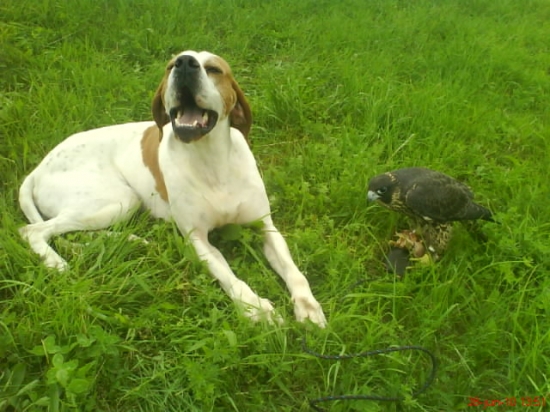 Trénujeme....:o)))))))