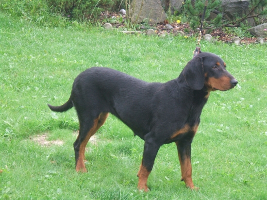 Nájdená kopovka má nového majiteľa....01.08.2010