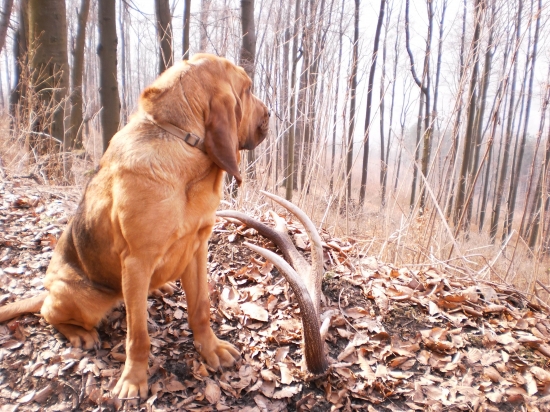 kde je ta druhá 3kg kost