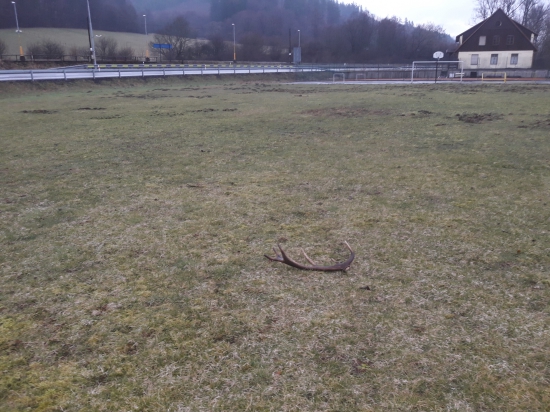 velikonoční fotbalista