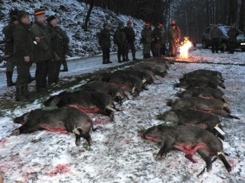 úspěšná naháŇka