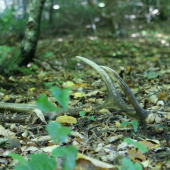 kto hľadá ten nájde