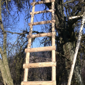 Polovica prace je za mnnou