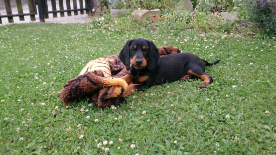 Anita od Kalinovského potoka (po mojom Beky)