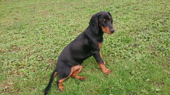 Troška nam vyrastla