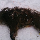 Konečne sa na spoločnej zaradilo