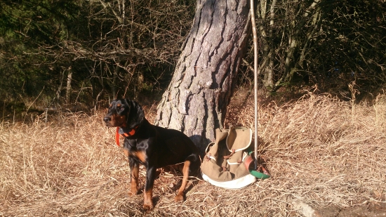 Vianočna prechadzka