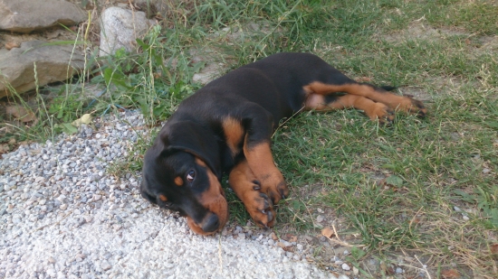 Tento pohlad ovláda dodnes