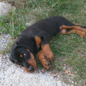 Tento pohlad ovláda dodnes