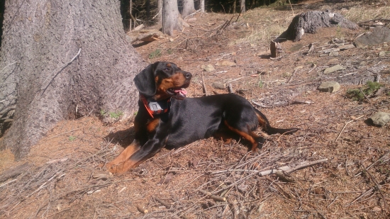 Uživame si jarne lúče slnka