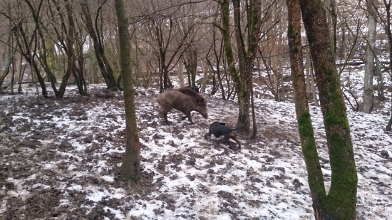 Vyzerá že je už zdravá