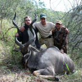 Kudu