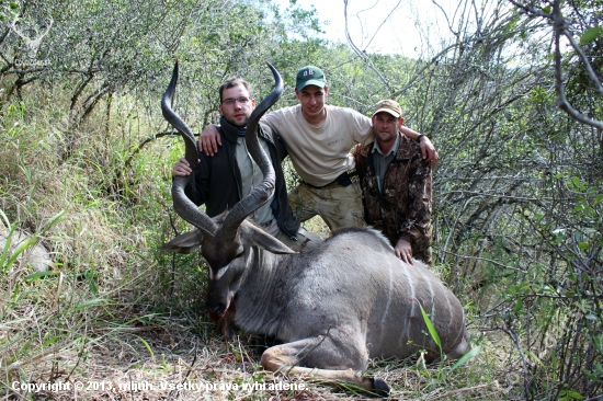 Kudu