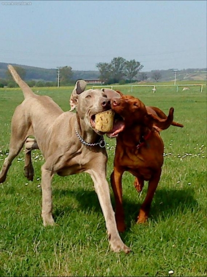 spolu je to zábavnejšie:)